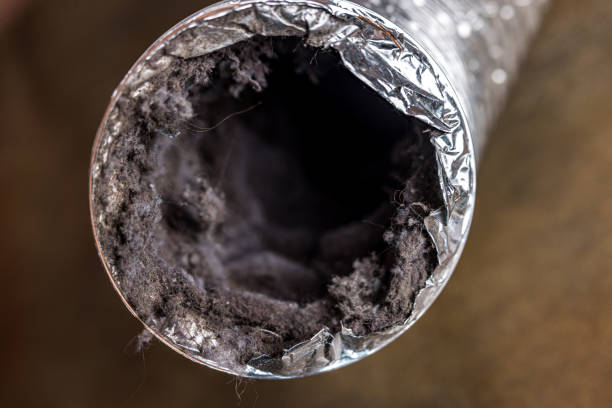 Best Home Air Vent Cleaning  in Heritage Lake, IN